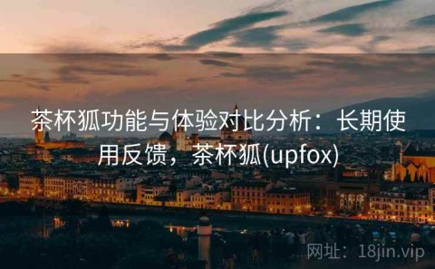 茶杯狐功能与体验对比分析：长期使用反馈，茶杯狐(upfox)