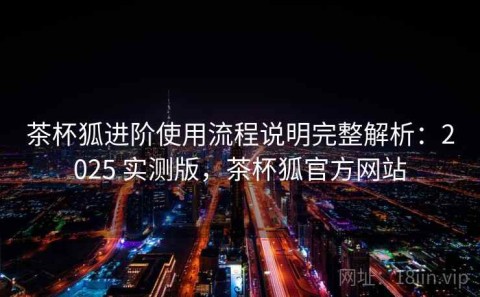 茶杯狐进阶使用流程说明完整解析：2025 实测版，茶杯狐官方网站