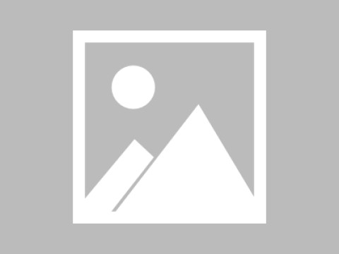 茶杯狐官网对比后使用建议完整解析：长期使用反馈，茶杯狐官方网站