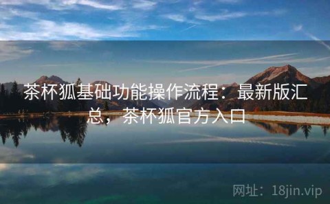 茶杯狐基础功能操作流程：最新版汇总，茶杯狐官方入口