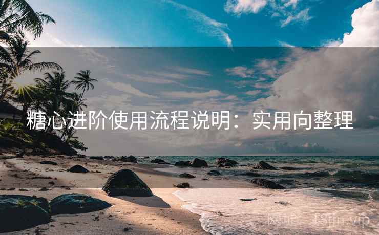 糖心进阶使用流程说明：实用向整理