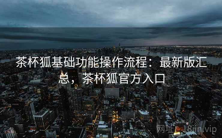 茶杯狐基础功能操作流程：最新版汇总，茶杯狐官方入口